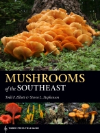 Mushrooms of the Southeast Cover